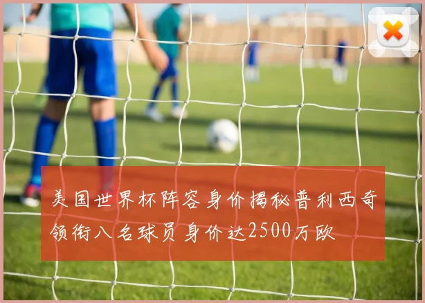 美国世界杯阵容身价揭秘普利西奇领衔八名球员身价达2500万欧